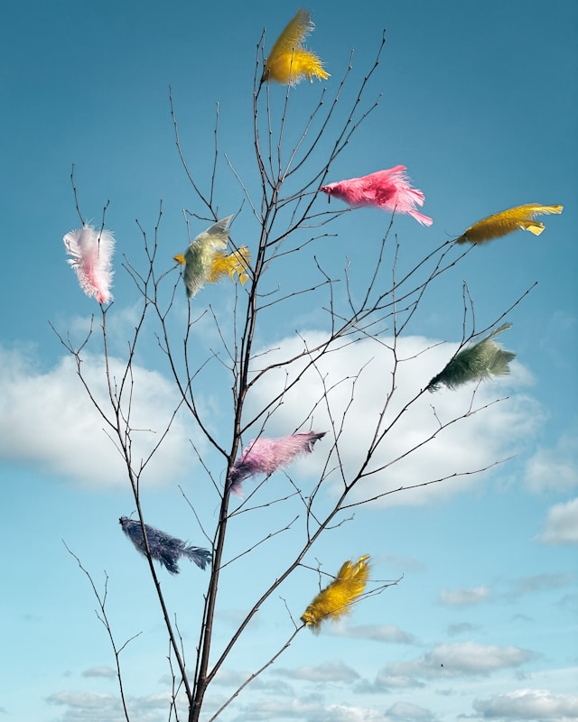 Approche douce et bienveillante et à l'écoute de vos besoins