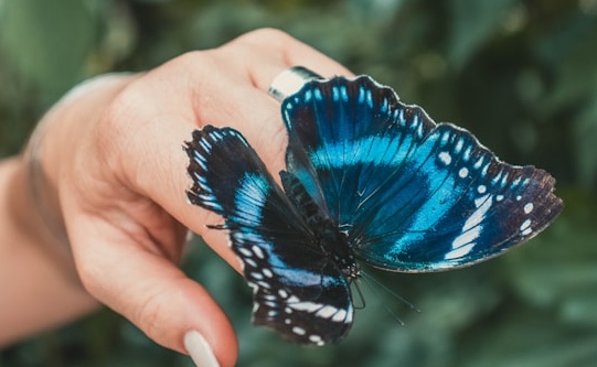 Experience de plus de dix ans en conduite du changement et en accompagnement